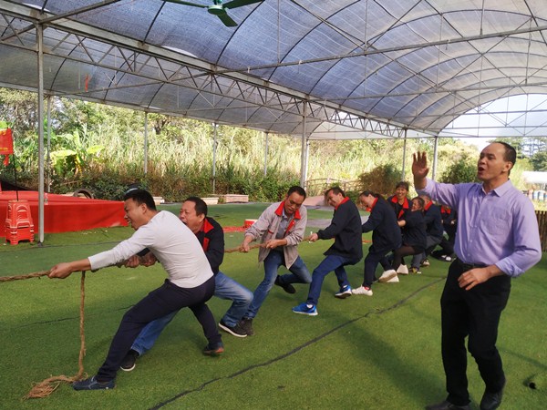 團(tuán)隊風(fēng)采